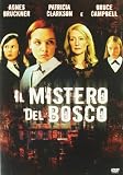 Il Mistero Del Bosco