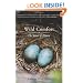 Wild Comfort: The Solace of Nature