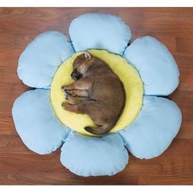 LARGE - BLUE - Flower Dog Beds