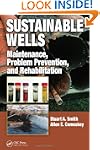 Sustainable Wells: Maintenance, Probl...