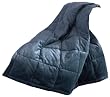 ComfortTech 3M Thinsulate Albany Microfiber Full/Queen Blanket, Blue