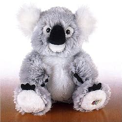 Webkinz Koala Bear