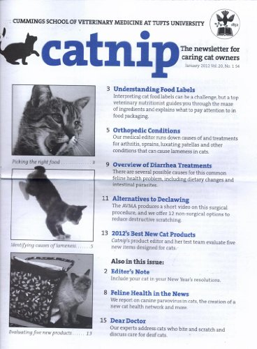 Catnip