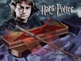 Harry Potter Wand Replica
