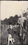 My darling Pussy : the letters of Lloyd George and Frances Stevenson, 1913-41