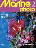 Marine Photo (マリンフォト) 2009年 03月号 [雑誌]