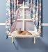 Pet Supplies : Flexi-Mat Corp Catnapper