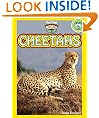 Cheetahs (A 