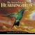 The Secret Lives of Hummingbirds