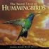 The Secret Lives of Hummingbirds