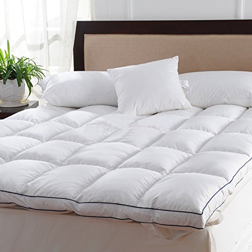 Fantastic Deal! Rose Feather 20/80 White Goose Down and Feather Mattress Topper Baffled Bed,alternat...