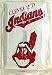 MLB's Cleveland Indians Light Switch Plate Cover