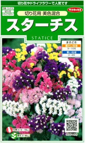 スターチス（リモニューム）　切り花用 美色混合　種子 [サカタのタネ]