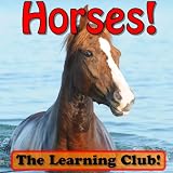 Happy Horses! Learn About Horses And Learn To Read - The Learning Club! (45+ Photos of Horses)