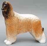 Afghan Hound BIG