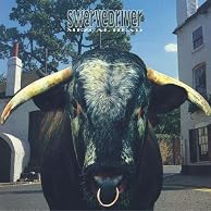 Image of Swervedriver