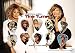 Tina Turner Guitar Pick Display Limited 100 Only