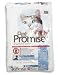 Pet Supplies : Pet Promise Cat-daily Healthy/dry, 224-Ounce Unit