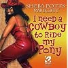 I Need a Cowboy to Ride My Pony