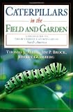 Caterpillars in the Field and Garden: A Field Guide to the Butterfly Caterpillars of North America (Butterflies [Or Other] Through Binoculars) by Thomas J. Allen,James P. Brock,Jeffrey Glassberg
