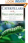 Caterpillars in the Field and Garden:...