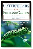 Caterpillars in the Field and Garden: A Field Guide to the Butterfly Caterpillars of North America (Butterflies [Or Other] Through Binoculars)