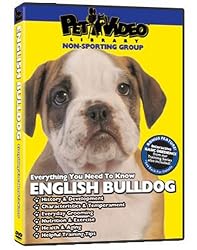 English Bulldog DVD: Everything You Should Know + Dog & Puppy Training Bonus