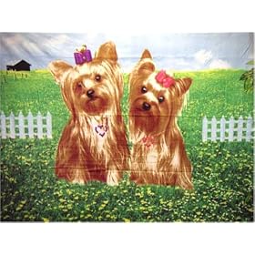 Yorkshire Terrier Blanket