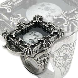 Moon Phase Optimiser Ring - Alchemy Gothic Pewter Ring