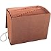 Sparco 23681 Accordion File,w/Flap,1-31,31 Pocket,Letter,12"x10",Brown
