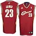 LeBron James Cleveland Cavaliers Burgundy Youth Replica Adidas NBA Jersey