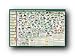 MILESTONE VERTEBRATE EVOLUTION POSTER 77042