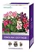 AeroGarden 6-Pod Seed Kit English Cottage Flowers