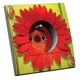 Decorupteur - Prise decoree Marguerite Rouge