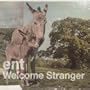 Farewell Dear Stranger