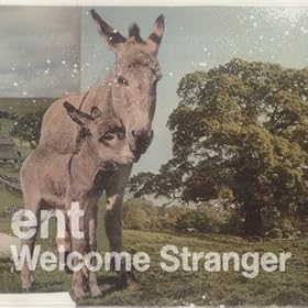 Farewell Dear Stranger