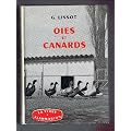 Oies et canards.