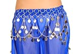 Coin belt with Loops Silver tone