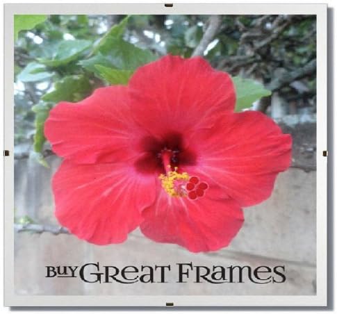 Set of 3 - GREATCLIP 4x4 Glass and Clip Frames