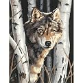 Dimensions Paint By Number Kit - Wolf in Trees (11x14")