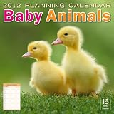 2012 Family Planner (5): Baby Animals Wall calendar