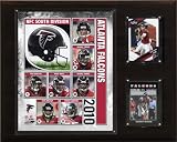 NFL Atlanta Falcons 2010 Team Plaque