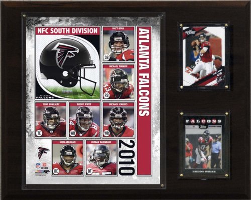 NFL Atlanta Falcons 2010 Team Plaque