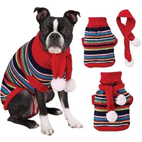 Multi-Bright Turtleneck Sweater SM Dog Puppy Clothes by Zack & Zoey