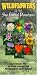 Wildflowers of the San Gabriel Mountains