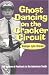 Ghost Dancing on the Cracker Circuit: The Culture of Festivals in the American South