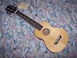 Leolani Ukulele 23 Shiny Rosewood Aquila Italy Strings