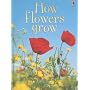 How Flowers Grow (Usborne Beginners, Level 1)