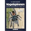 Vogelspinnen