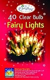 Indoor Fairy Light 40 Bulb White